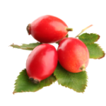 baraka-rose_hip_PNG30